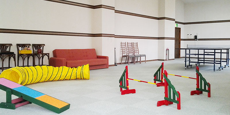 室内ドッグラン