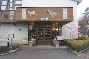 シニア犬プラン