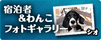 宿泊者フォトギャラリー
