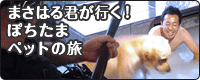 ポチたまペットの旅